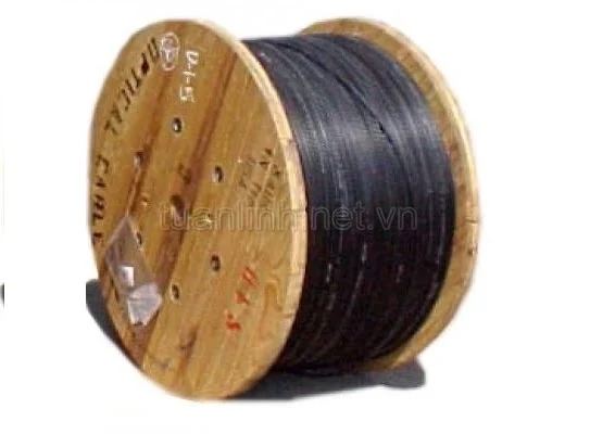 Ảnh tin Dây cáp quang 2 core (FO) FTTH