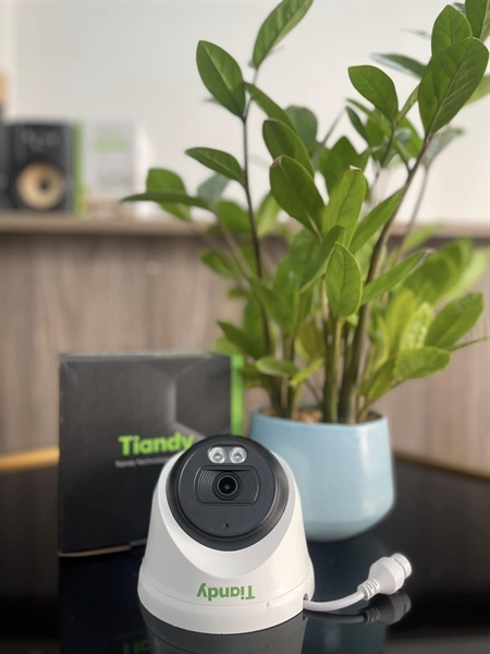 Ảnh tin Camera IP dome 2MP Tiandy TC-C320N 1CNB-28 không màu