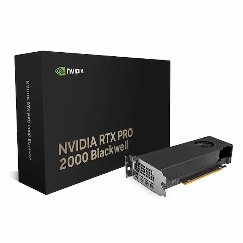 Ảnh tin Card màn hình NVIDIA RTX PRO 2000 16G Blackwell (UPC 810152850251) | 16GB GDDR7 ECC, 4352 CUDA Cores