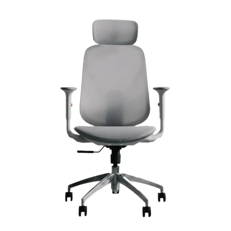 Ảnh tin Ghế công thái học Epione ElysChair Cool Gray | Lưng lưới, Kèm tựa đầu, Xám