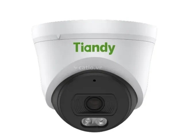 Camera IP Dome Tiandy TC-C320N 2.0MP – ảnh 1