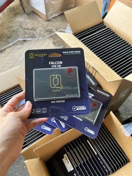 Ổ Cứng SSD McQuest Falcon 256GB 2.5 inch SATA iii 552Mb/s – ảnh 1