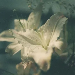 Hà Thùy Linh